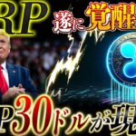 🔥XRP(リップル)覚醒秒読み🔥“XRPの在庫切れ”が現実に❗️XRP価格が暴走する理由を徹底解説❗️