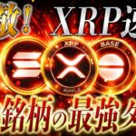 🔥XRPリップルが最強タッグ結成！【これからの仮想通貨業界に革命が起きます‼️】さらなる超特大チェーンとの統合⁉️#xrp #リップル #ビットコイン #仮想通貨