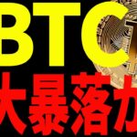 ⚠️ビットコイン年明けに大暴落⁉⚠️今後の戦略を最新チャートで徹底解説！【仮想通貨】