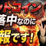 【ビットコイン暴落】なぜ今が「朗報」なのか？長期目線で見る最大のチャンス到来！