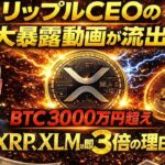 ※1月11日※【リップルCEOの大暴露が流出】｜【XRP・XLMは3倍以上確約】BTCも3000万円を絶対的に超える#xrp #doge #仮想通貨 #shib #bitcoin #ripple
