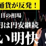 ビットコイン反発。ドル円・ゴールド狙い明快！　【BTC・ドル円・GOLD・米国株】