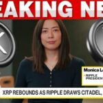 RIPPLE PRESIDENT REVEALS BIG PLANS FOR XRP IN 2026!