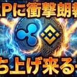【速報】RLUSDがバイナンスに上場。XRPホルダーおめでとうございます。 #109