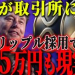 『正直震えた』イーロンがXに仮想通貨導入！リップル採用で大相場確定か…!?