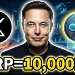 【速報】XRPホルダーへ。イーロンマスクはガチです。 #108