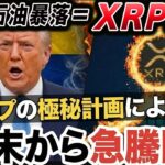 【XRP速報】トランプ極秘計画の流出でリップル急騰のシナリオ【仮想通貨】【ビットコイン】