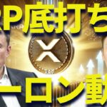 【XRP速報】イーロン砲でリップル底打ちからの爆上げ来るか？