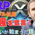 【速報】リップル社長が覚醒を宣言──XRP“下落予想”の裏で爆買いが始まった理由