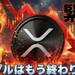 【※XRP神話崩壊・もう終わり？】リップル ETFが初の流出！何が起きたか分析せよ！