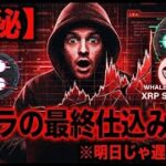 【閲覧注意】クジラが密かに仕込む「XRP最終シグナル」が流出…。これを知らずにリップルを持たないでください。100倍へのラストチャンス。