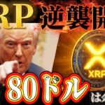🔥XRP(リップル)の逆襲が始まる🔥1XRP＝80ドルは現実的❗️1000兆円移動で立場が逆転❗️