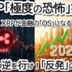 【XRP大逆転？】個人投資家は「極度の恐怖」でもリップル社長が2026年爆上がりを断言する理由｜BTC・ETH・XLMチャート分析