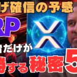 【緊急】リップル非上場はXRP爆上げ確信の予感！保有者だけが優勝する秘密5選