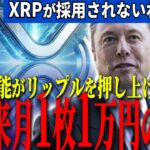 『イーロン革命』来月のX新機能がXRPの価値を必然的に上げます。
