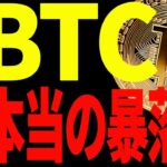 ⚠️ビットコインの本当の暴落はこれから⁉⚠️今後の〇〇に騙されるな！【仮想通貨】