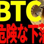 ⚠️ビットコイン急落⚠️この下落は危険なのか⁉必ず見て今後の動きに備えろ！【仮想通貨】