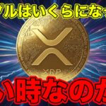 2026年リップル急落！1XRP＝198円の大暴落…価格が下がる本当の理由は大口の買占め戦略。《ビットコイン リップル XRP 仮想通貨 暗号通貨》