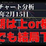 2026年2月15日ビットコイン相場分析