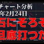 2026年2月24日ビットコイン相場分析