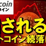 【緊急】騙されないで！ビットコイン続落は罠です。クジラの手口を暴露します！（朝活2055）