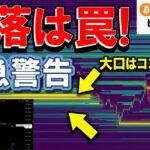 【仮想通貨 ビットコイン】警告！大口（クジラ）の動きに騙されるな。清算マップが示す「本当の底値」（朝活2066）