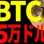 ビットコイン5万ドルまでの大暴落は来るのか⁉最新チャートで徹底解説！【仮想通貨】