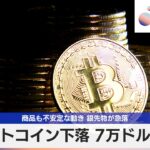 ビットコイン下落 7万ドル割れ　商品も不安定な動き 銀先物が急落【モーサテ】