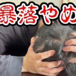 【大暴落】止まらないビットコインの下落に耐える全財産725万円ぶち込んだ営業39歳サラリーマン【2026年2月13日】 #bitcoin #大暴落 #全財産