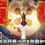 【※今買い時！仮想通貨企業CEOが発言】【XRPは5年寝かせろ！】