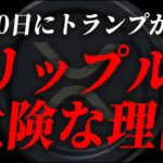 【XRP速報】トランプが暴走し、リップルが危険な理由を徹底解説【仮想通貨 暗号資産 最新情報】
