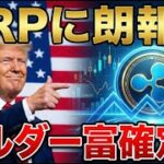 【速報】XRP重大アップデートで最強通貨へ。 #115