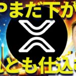 リップルまだ下がる？それとも仕込む？実はXRPの底値は◯◯円です・・