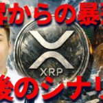 【XRP速報】リップル上昇からの暴落・・・？今後のシナリオを語ります！
