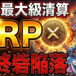 【大暴落】XRP止まらない下落。それでも買い時な理由を話すわ