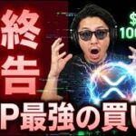 【緊急】リップル(XRP)に点灯した「最終シグナル」。この買い場を逃すと二度と買えません。
