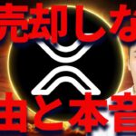 リップル売却をするな！XRPは1ドルでも価値が高い？