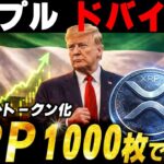 🔥XRP1000枚で安泰🔥リップルが現物資産をトークン化‼️2月の価格に影響か？【仮想通貨　最新情報】