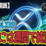 最新【リップルXRP】【衝撃】：1100万円 vs 1兆円！XRPがビットコインを凌駕する「衝撃のコスト革命」XRPに機関投資家が群がる真の正体