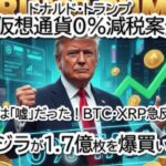 【リップル神回】XRPの20%暴落予想が一転！？クジラが仕掛けた「下落トラップ」の全貌とトランプ氏の0%減税案でBTC・ETH・XRPが急反発！
