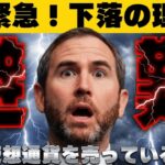 【※マジか。また急落】【XRP今後25倍予測！リップルに何が起こる？】