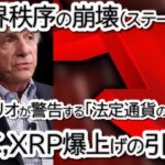 【リップル緊急速報】XRPが5,000万枚の巨大売り発生の正体。レイ・ダリオが警告する「世界秩序の崩壊」で仮想通貨は爆上げするのか？【BTC/S&P500チャート分析】