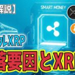 最新【リップルXRP】【衝撃】沈むBTC、浮かぶXRP…？ ウォール街がこの大暴落で「リップルXRP」を避難先に！【ビットコイン BTC】