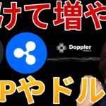 【仮想通貨を高利率で増やす】リップル(XRP)やステーブルコインRLUSDを運用できるDoppler Finance