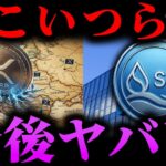 【仮想通貨】格上げ。XRPが勢力拡大│SUIの爆上げ予測【ゆっくり】
