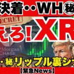 【緊急】ホワイトハウス極秘会合でXRP世界指定へ！？銀行降伏とペーパービットコインの闇…リップル爆上げシナリオが始動する瞬間を目撃せよ！『XRPリップル最新ニュース・仮想通貨最新情報💛』