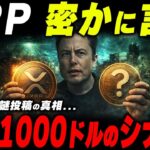 【XRP急騰シナリオ？】イーロンがXRPに言及‼️もう1つの真実が暴かれました。【暗号資産　最新情報】