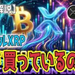 最新【リップルXRP】【衝撃】暴落で誰が買った？XRP500億円買いのクジラとBTC蓄積の裏側【ビットコイン BTC】