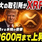 🔥XRP速報🔥世界最大の取引所がXRPを認めました‼️資金流入によりXRP最高値まで上昇する🚀【暗号資産　最新情報】