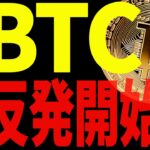 ビットコインの反発が始まる⁉今後の流れに乗りたいなら必ず〇〇を見ろ！【仮想通貨】